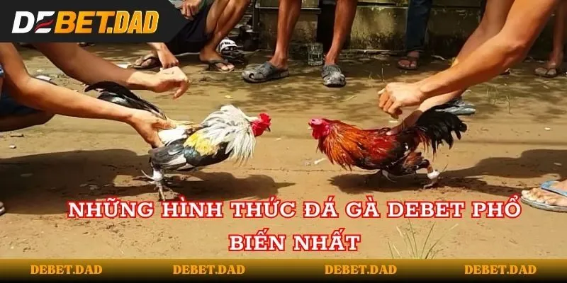 Những hình thức đá gà tại Debet phổ biến nhất